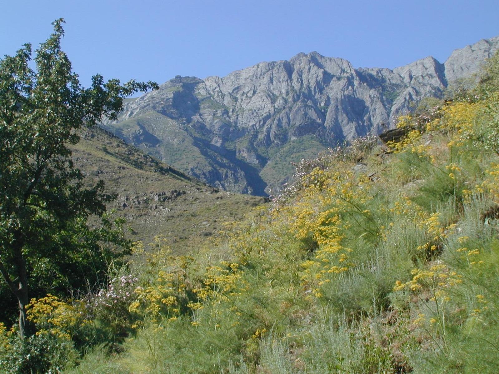 Hayat Guesthouse Nuratau Mountain Yukary-Ukhum Zewnętrze zdjęcie